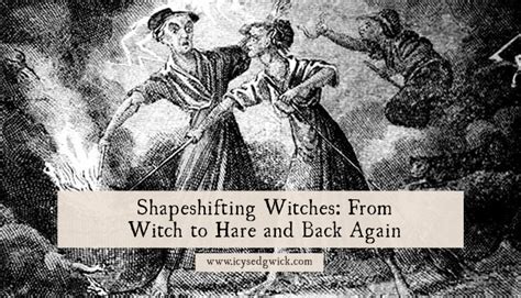 Vif Fish Witches in Fairy Tales and Children's Literature: Lessons in Morality and Resilience